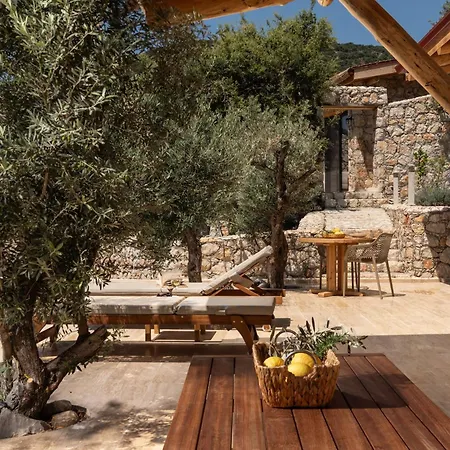 Kalamar 4 וילה קס